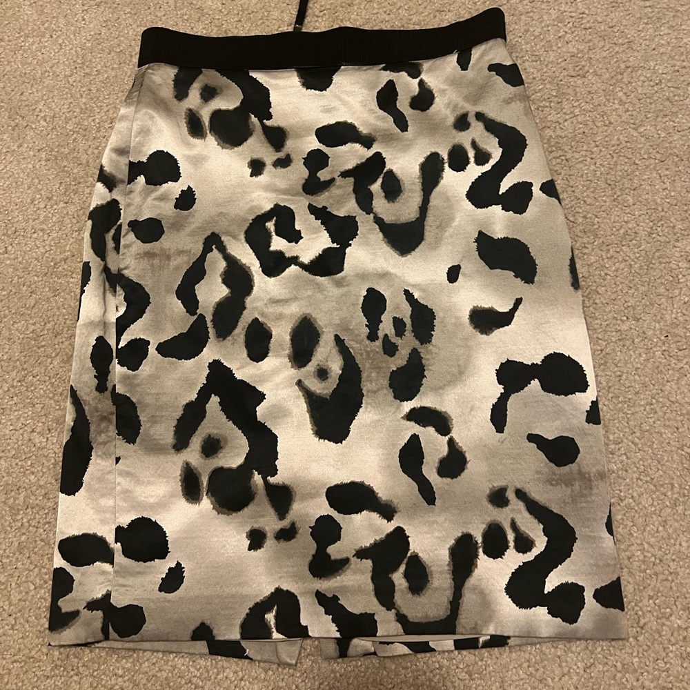 Ann Taylor Silk Skirt with line 0P